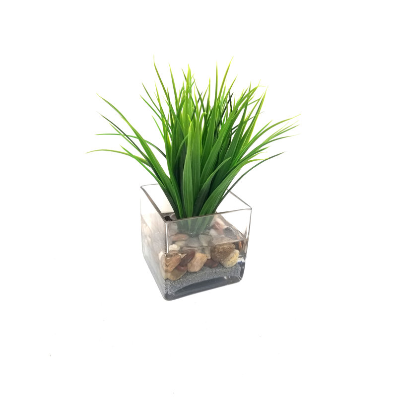 Highland Dunes Faux Grass in Square Glass Vase & Reviews Wayfair